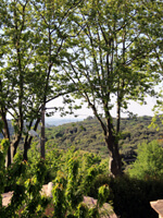 Rue du Ponget, Faugeres, France